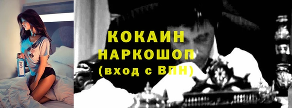 мет Елизово