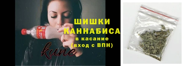 мет Елизово
