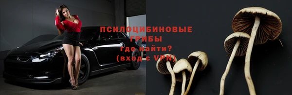 мет Елизово