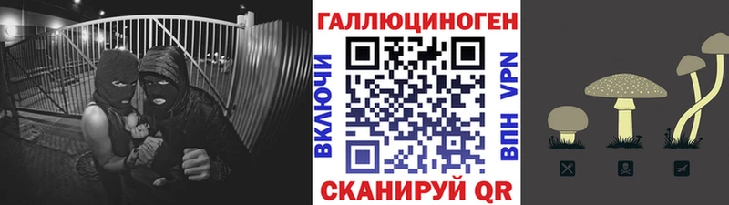 Галлюциногенные грибы Psilocybine cubensis  Купить где  Нефтегорск 